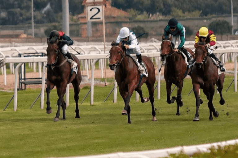 The Most Famous Horse Racing Tracks and Venues Around the World