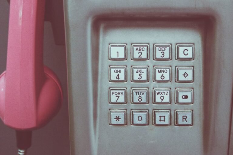 phone numbers in dataset for stability assessment